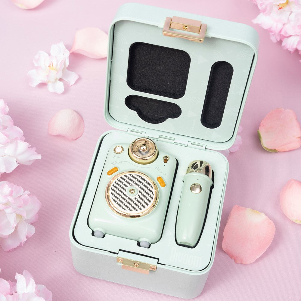 Divoom/D-Fairy-OK-GN/Karaoke Portable Speaker with Wireless MIC/FM/MicroSD/BT