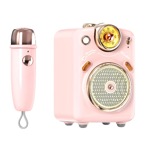 Divoom/D-Fairy-OK-GN/Karaoke Portable Speaker with Wireless MIC/FM/MicroSD/BT